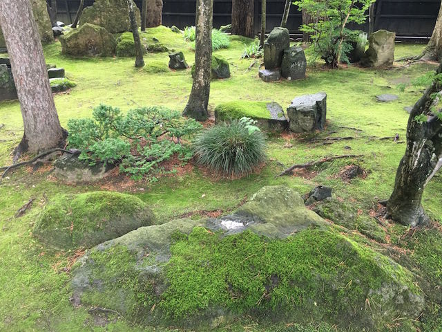 梅雨どきの苔もきれい_角館武家屋敷通り