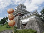未明花さんの上山城郷土資料館の投稿写真1