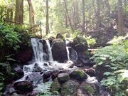 風まかせ1号さんの瓜割の滝の投稿写真1