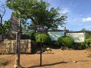 にゃんちゃんさんの岩殿山丸山公園の投稿写真2