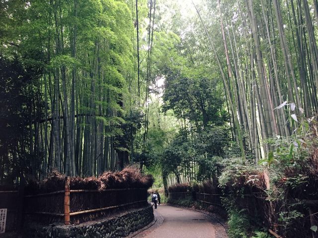 朝方の写真です!_大河内山荘庭園