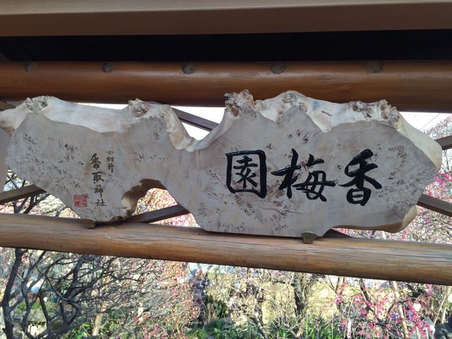 境内の隣にある香梅園。梅まつりのときのみ開園されます。_香取神社