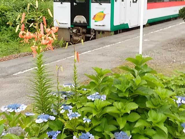 古口駅は、田舎の素敵な駅でした。_最上川三難所舟くだり