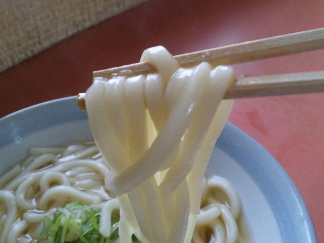 もちもちおうどん_びっくりうどん