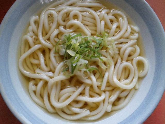 ホントにこれで100円_びっくりうどん