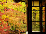 こたぴさんの日光田母沢御用邸記念公園の投稿写真1