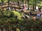 あかビーンさんの上尾丸山公園の投稿写真1