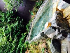 くろさんの東海館への投稿写真1