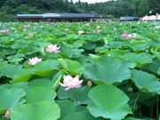 みりんさんの荒神谷博物館の投稿写真1