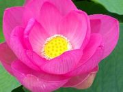 みりんさんの荒神谷博物館の投稿写真2