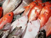 サブさんの一色さかな広場の投稿写真2