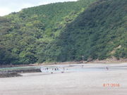 ぐっちょんさんの頓泊海水浴場の投稿写真1