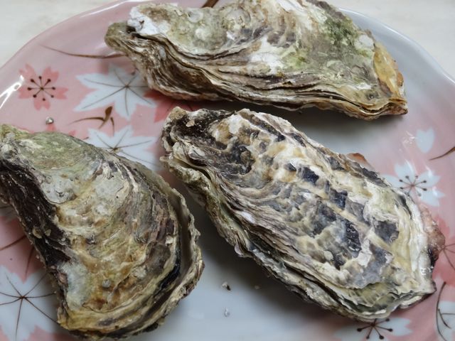 食事処梅山