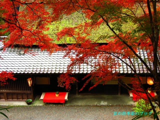 紅葉の季節の趣は格別です。。_平野屋