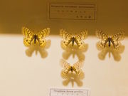 としりんさんの当麻世界の昆虫館パピヨンシャトーの投稿写真2