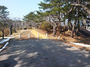 江戸家化猫さんの能代公園の投稿写真4
