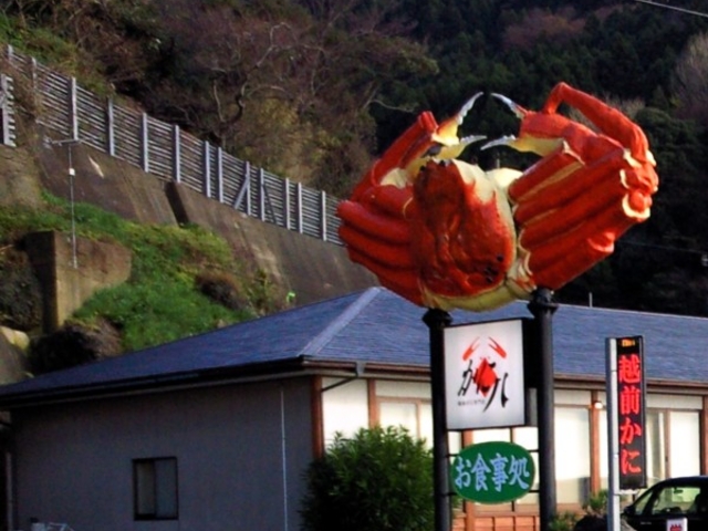越前かに専門店 かに八