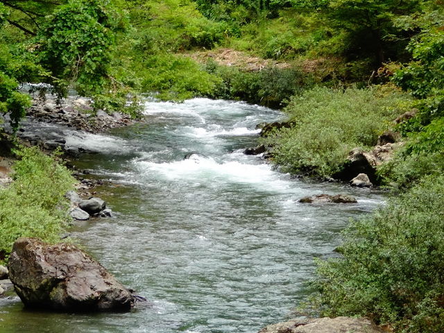 しどーさんの丹生川(滋賀県長浜市)の投稿写真1