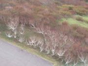 行者ニンニクさんさんの稚内市北方記念館の投稿写真3