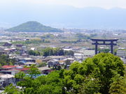 しどーさんの大美和の杜展望台の投稿写真1