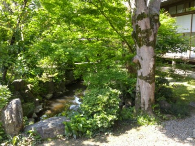 庭園の池。水が溜まるというより、流れの途中にあるといった構造。_鏡田屋敷