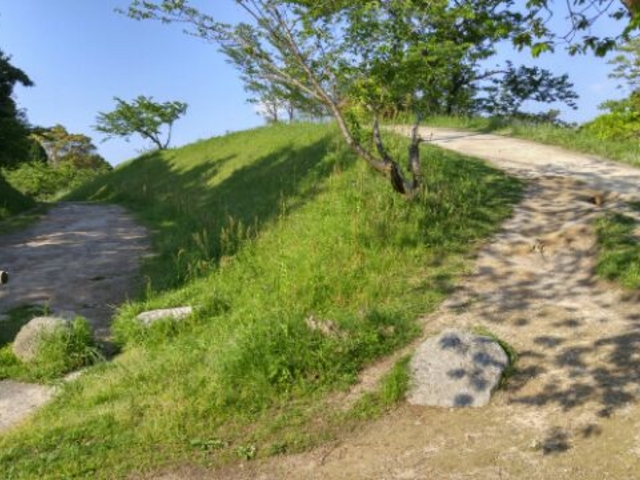 パッと見 何だかわからない_大野城跡