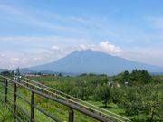 yayaさんの弘前市りんご公園の投稿写真1