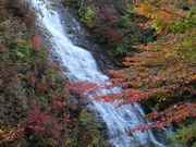 kojifujiさんの奥四万湖の投稿写真1