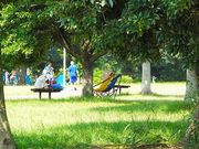 ミノマさんの江津湖の投稿写真3