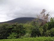 クワさんのかいもん山麓ふれあい公園の投稿写真5