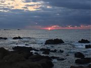 シトラさんの野島崎の投稿写真1