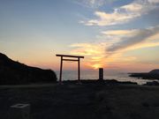 なっちゃんさんの道の駅 白浜野島崎の投稿写真1