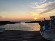 なっちゃんさんの道の駅 白浜野島崎の投稿写真2