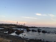 なっちゃんさんの道の駅 白浜野島崎の投稿写真3