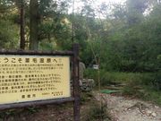 だいちゃんさんの葦毛湿原の投稿写真1