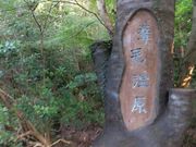 だいちゃんさんの葦毛湿原の投稿写真3