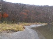 マモー80さんの小沼の投稿写真1