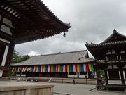 キヨさんの唐招提寺講堂の投稿写真1