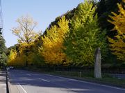 zunzuさんの内津の紅葉の投稿写真1