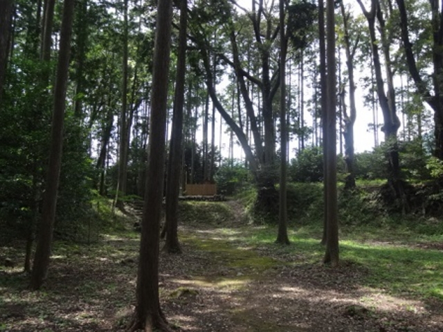 砦の名残の土塁_三瀬砦跡
