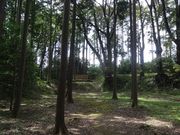 キヨさんの三瀬砦跡の投稿写真2