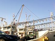 世田谷区等々力の住人さんの石巻漁港(石巻市水産物地方卸売市場)の投稿写真1