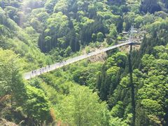 しおりさんの上野スカイブリッジへの投稿写真1