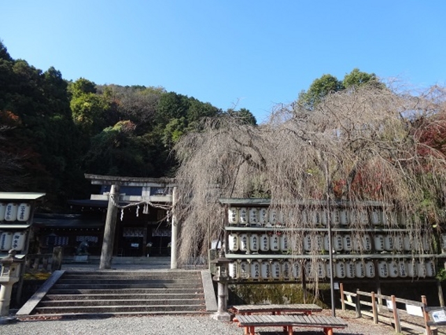大石神社のしだれ桜_大石神社
