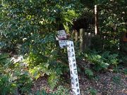キヨさんの天王山の投稿写真1