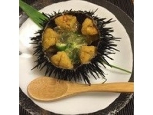 このウニ、まじで旨い!_滝川