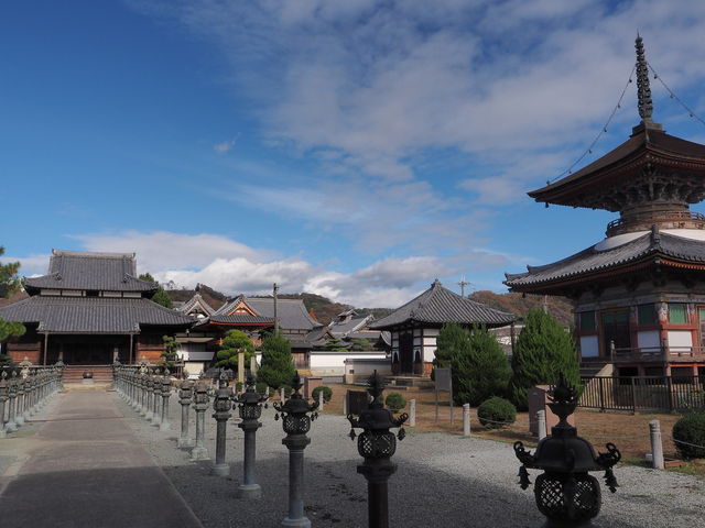 酒見寺_酒見寺