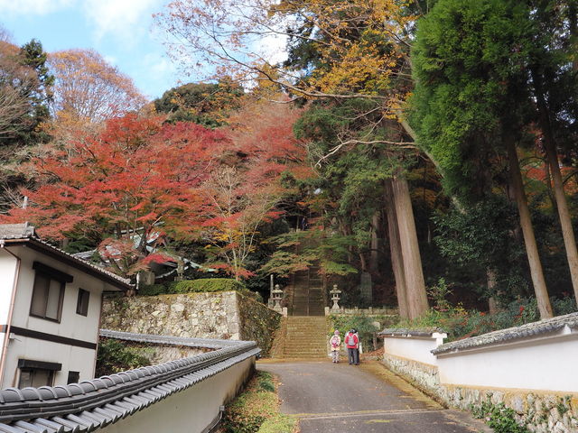 sklfhさんの奥山寺の投稿写真1