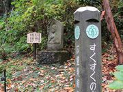 91さんの那珂川町すくすくの森公園の投稿写真1