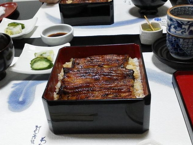 ウナギ_割烹蒲焼 わかな